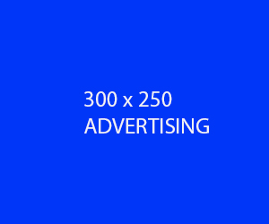 300X250_ADS