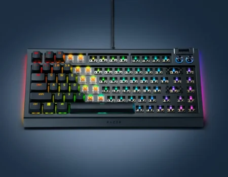 Black blackwidow v4 75 barebones kv