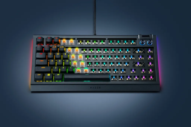 Black blackwidow v4 75 barebones kv