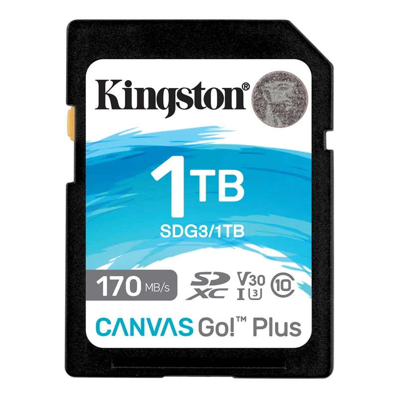 Kingston canvas go! plus sd