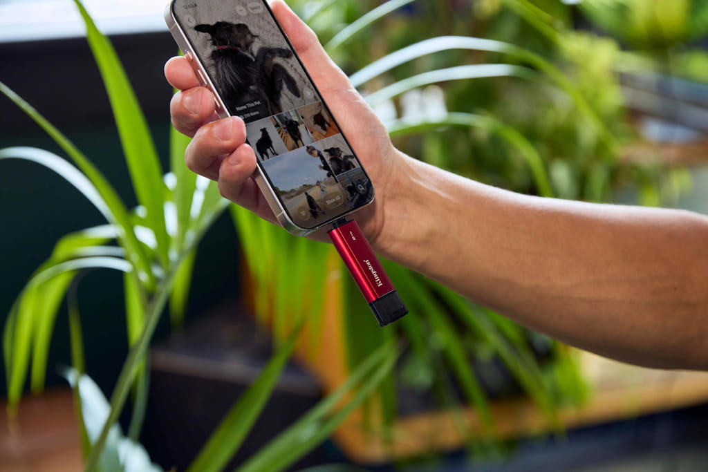 Kingston dual portable ssd 02