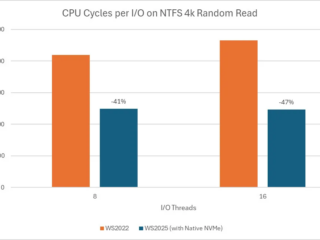 ws2025_native_NVMe-002 Ws2025 native nvme 002